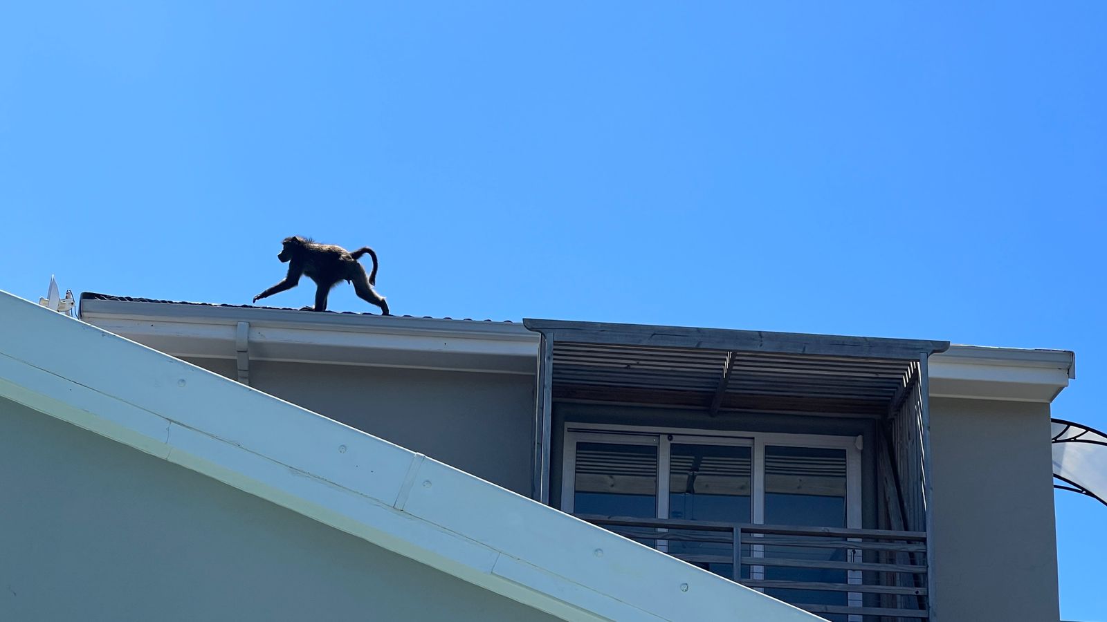 WhatsApp Image 2024-01-04 at 10.24.50