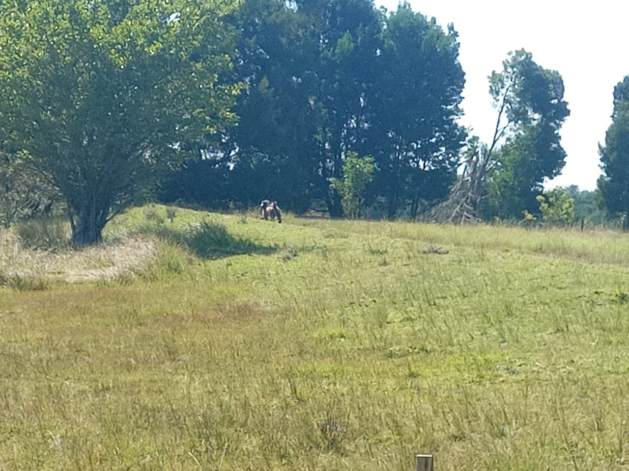 WhatsApp Image 2024-03-01 at 19.42.42