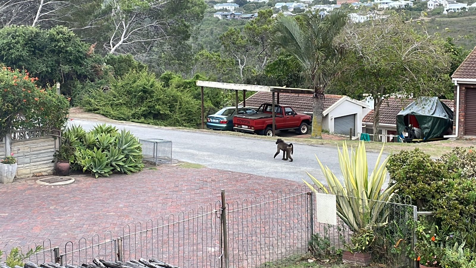 WhatsApp Image 2024-04-06 at 08.06.00