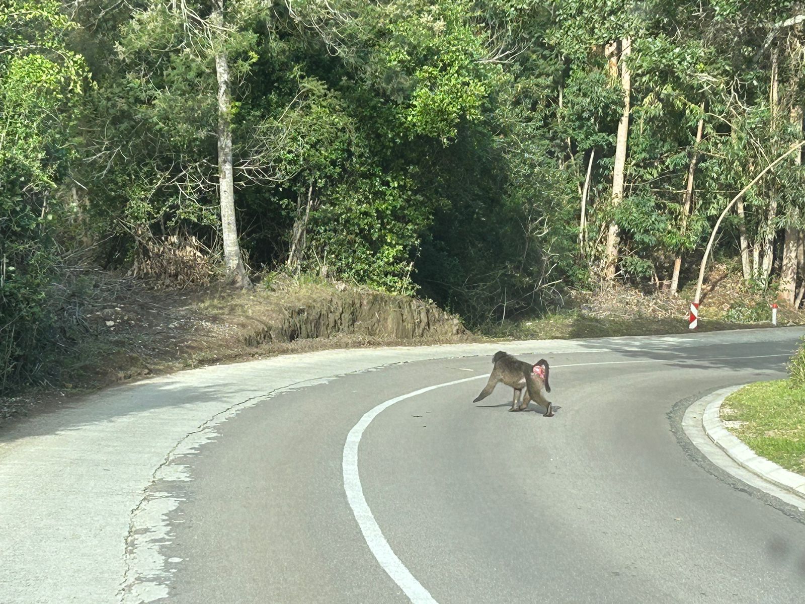 WhatsApp Image 2024-04-13 at 16.02.17