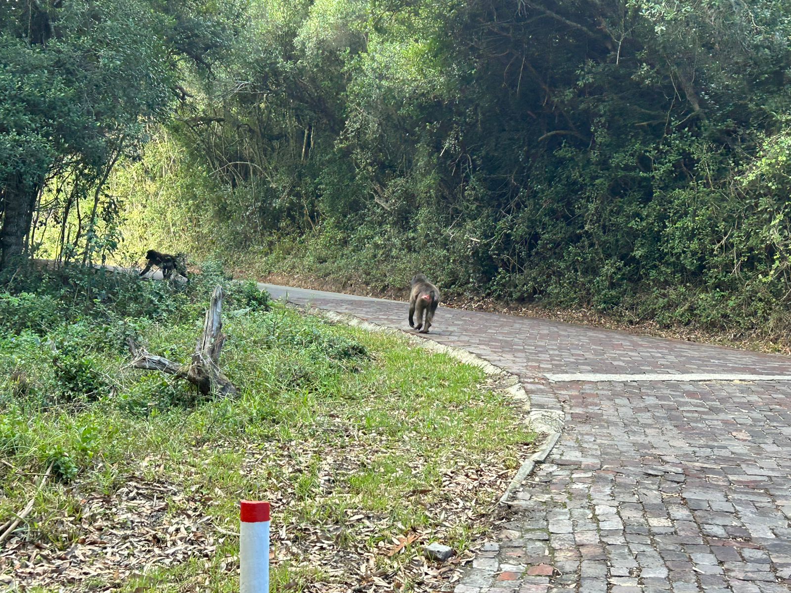 WhatsApp Image 2024-04-13 at 16.02.38