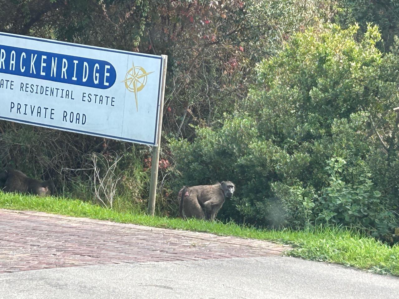 WhatsApp Image 2024-04-21 at 13.45.07