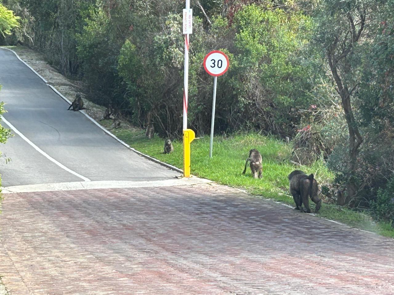 WhatsApp Image 2024-04-21 at 13.45.07(1)