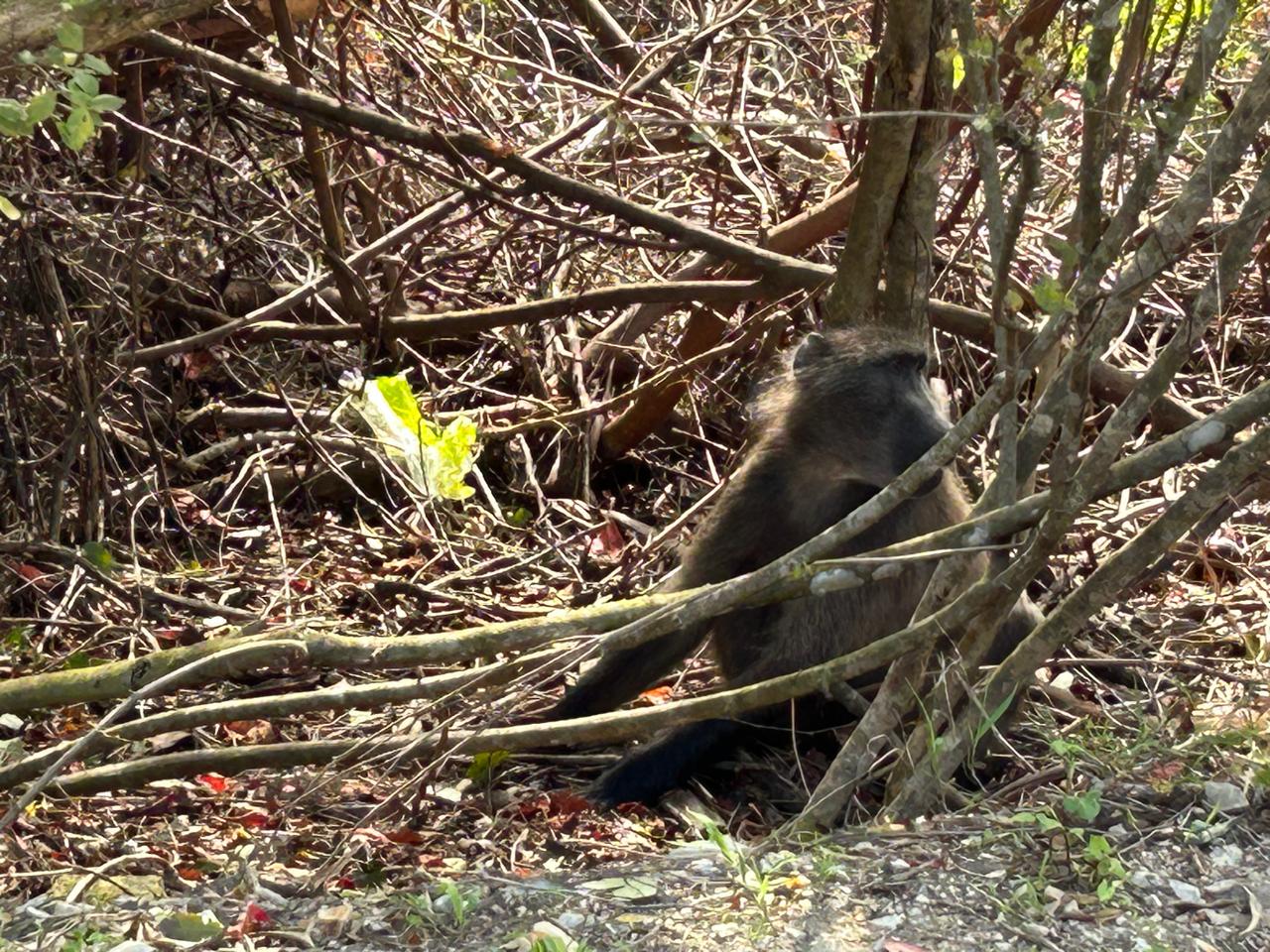 WhatsApp Image 2024-04-21 at 13.45.09